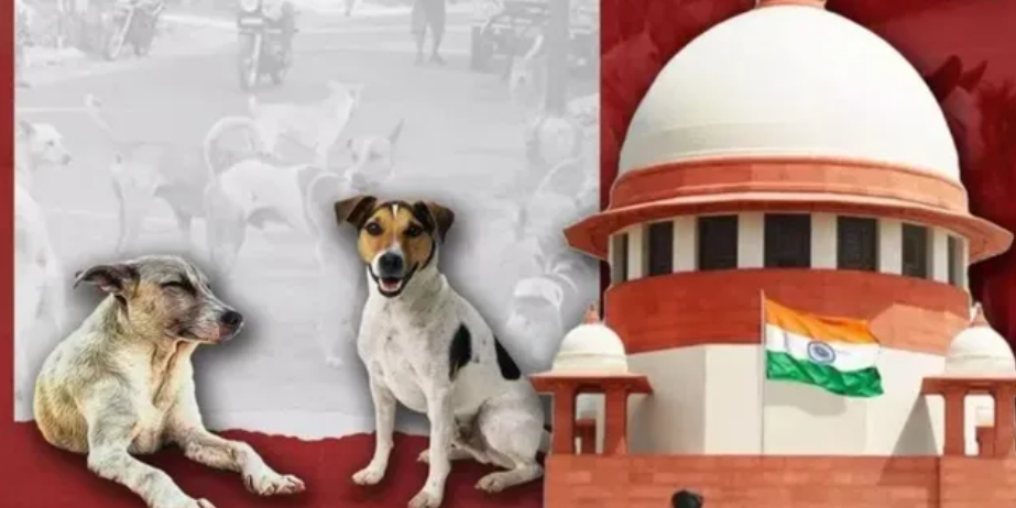 आवारा कुत्तों को खाना खिलाने वालों पर सुप्रीम कोर्ट सख्त, कहा- काटने की जिम्मेदारी भी लें